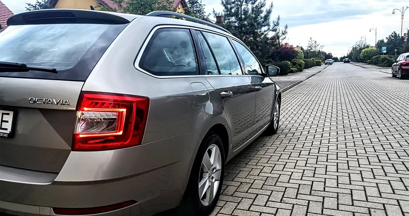 Skoda Octavia cena 46900 przebieg: 280000, rok produkcji 2019 z Legnica małe 211